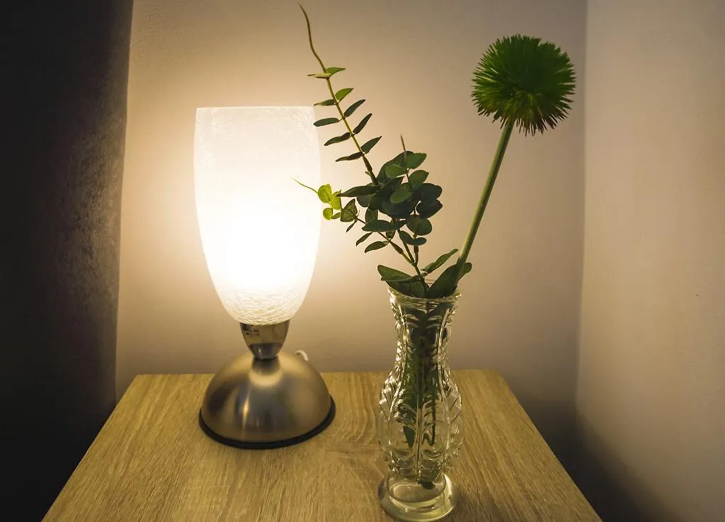 Apartment Krakovska 5 Praag